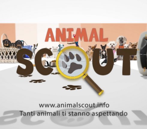 screen-animalscout-1